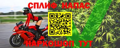 ECSTASY Обь